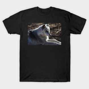 Wolf T-Shirt